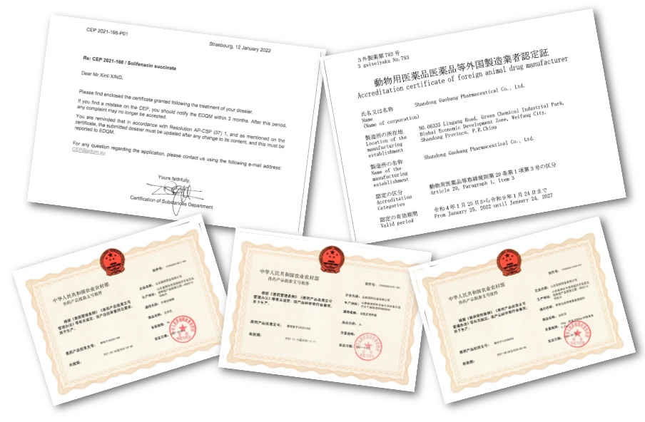 今年会·(中国大陆)认证慈善机构